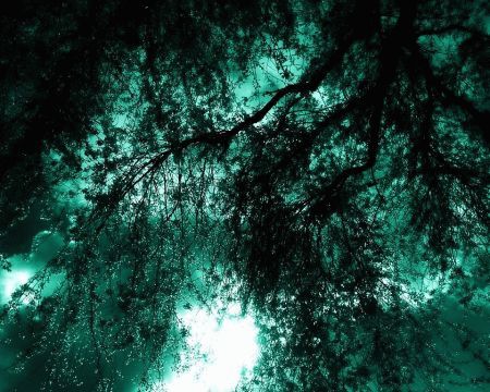 Sviatibor : Mother Europe